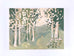 Birch Trees No.  3 - 18x24