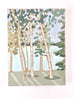 Birch Trees No.  6 - 18x24