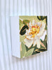 Peony No. 26