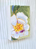 Peony No. 24